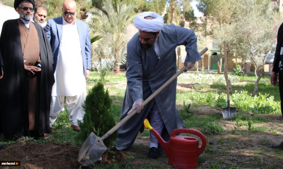 غرس یک نهال توسط نماینده ولی فقیه در سیستان و بلوچستان/
آیت‌الله محامی: باید توصیه های پزشکی رعایت شود/ دعا کنیم تا خداوند سایه بیماری کرونا را از کشور بردارد 2