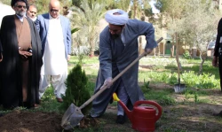 غرس یک نهال توسط نماینده ولی فقیه در سیستان و بلوچستان/
آیت‌الله محامی: باید توصیه های پزشکی رعایت شود/ دعا کنیم تا خداوند سایه بیماری کرونا را از کشور بردارد 2