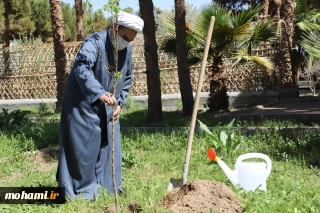 کاشت یک اصله نهال میوه توسط نماینده ولی فقیه در سیستان‌وبلوچستان