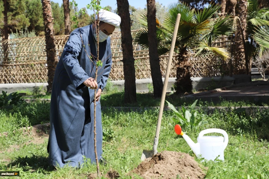 کاشت یک اصله نهال میوه توسط نماینده ولی فقیه در استان 2