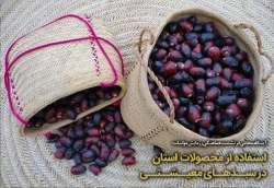 استفاده از محصولات استان در سبدهای معیشتی 2