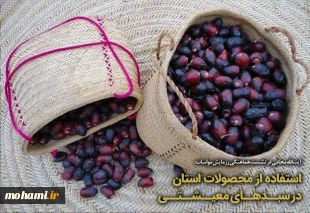 استفاده از محصولات استان در سبدهای معیشتی 2