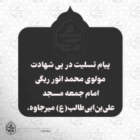 ️پیام تسلیت نماینده مقام معظم رهبری در سیستان و بلوچستان در پی شهادت مولوی محمد انور ریگی 2